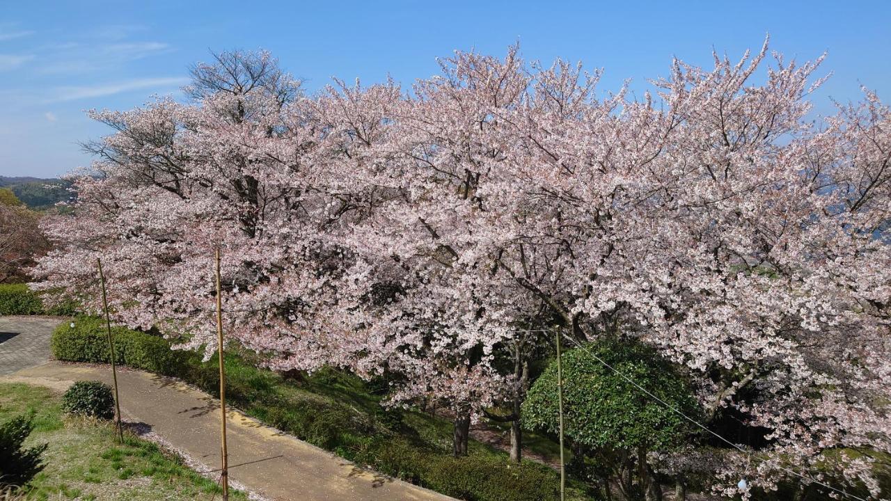 ゲストハウス あずも Guesthouse Azmo 松江市 エクステリア 写真